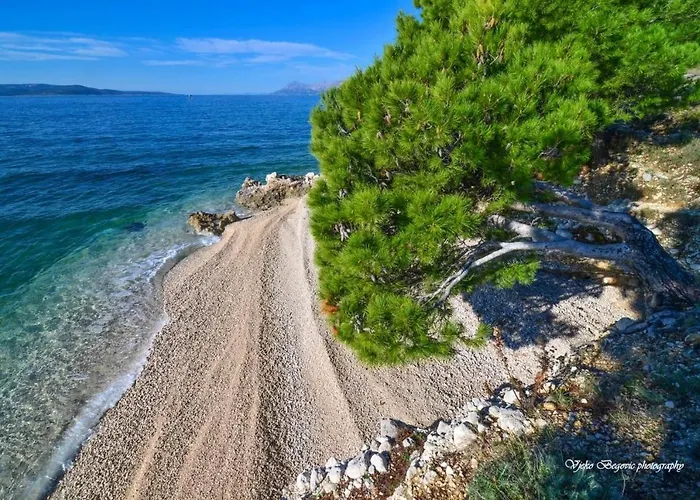 Ivy - Free Parking * Makarska